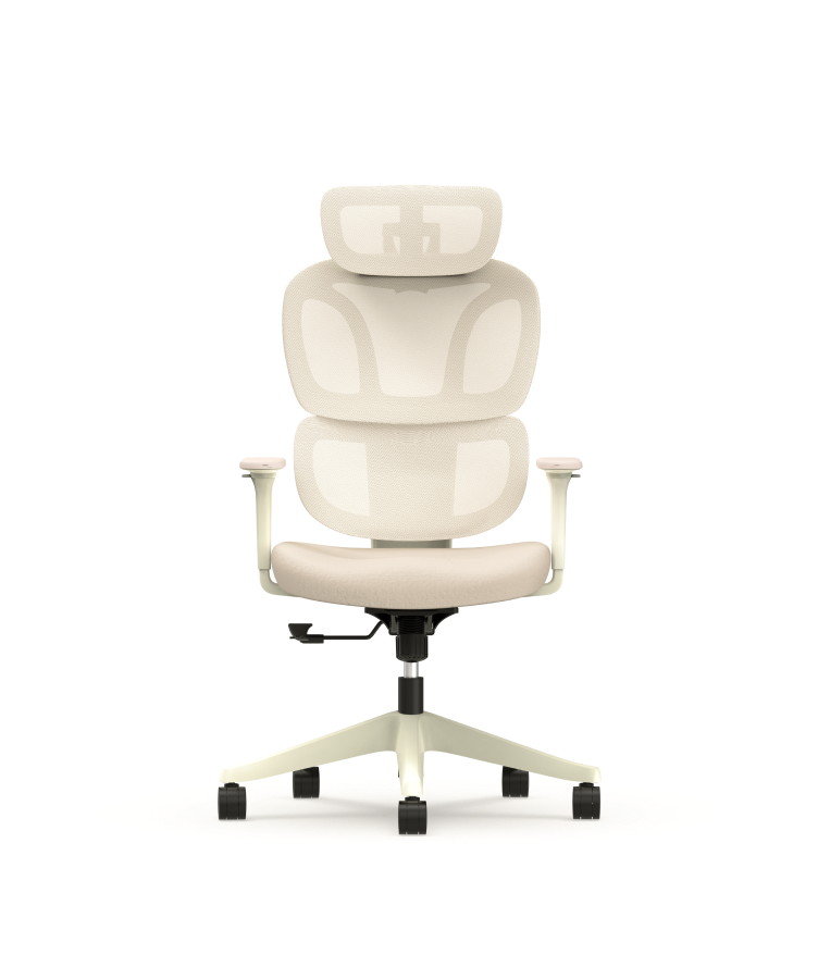 Bürostuhl mit frischem  BS5